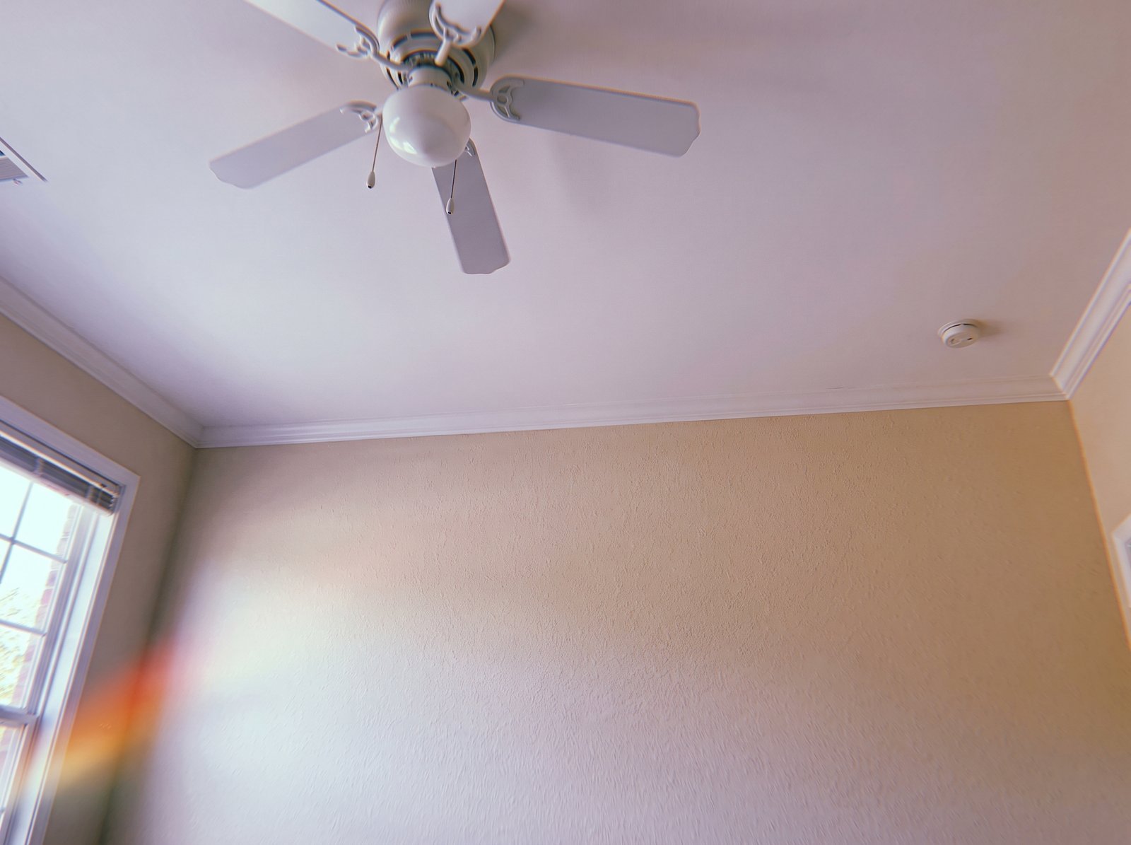 Example of a smooth, freshly painted ceiling after drywall repair